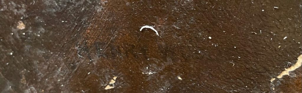 Close-up view of a dark, textured surface with visible imperfections and fibers.