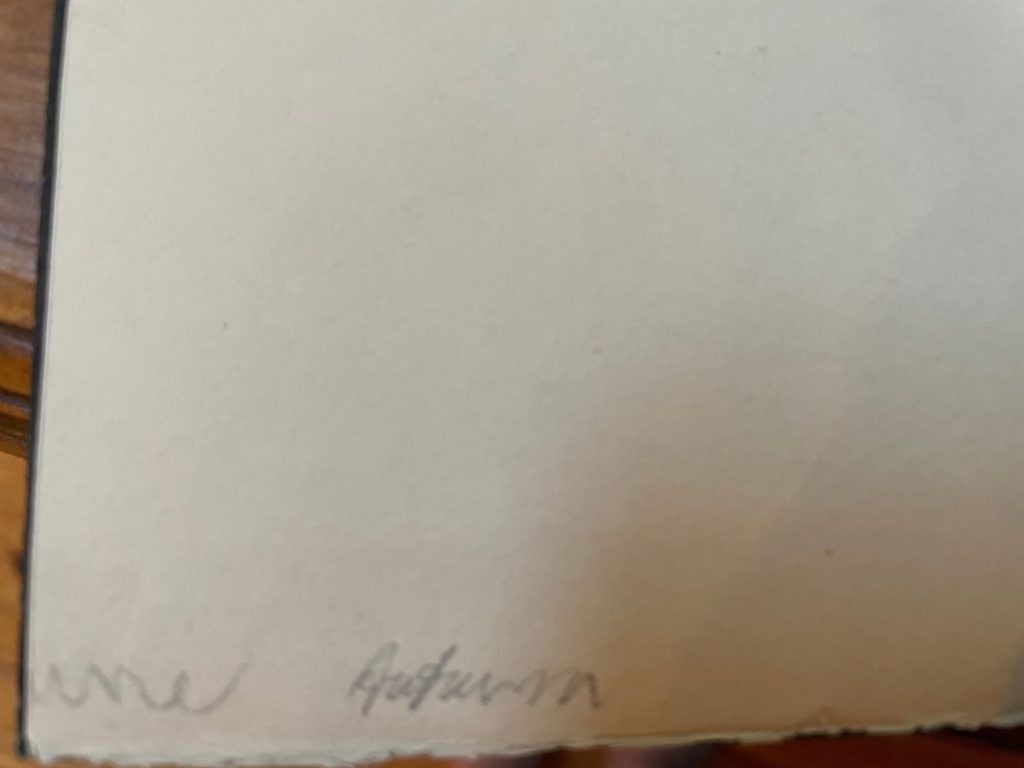 Close-up view of a signature on a piece of artwork, partially visible in pencil.
