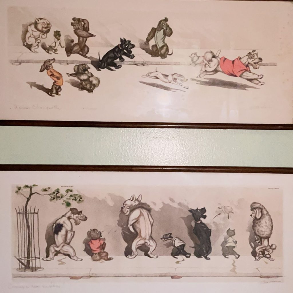 Illustration featuring multiple animals in different poses, including a rabbit, bear, and dog, displayed in two rows.