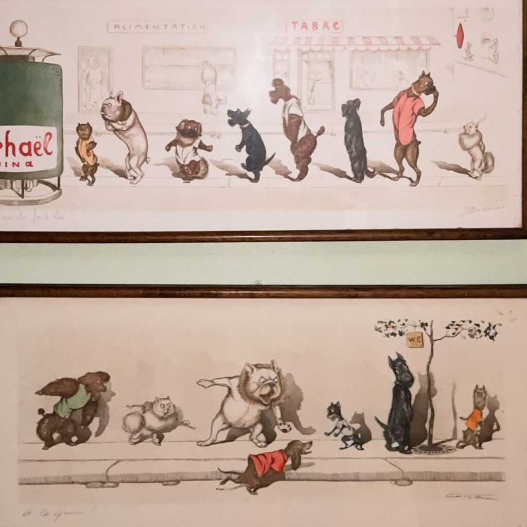 Two framed illustrations depicting various animals walking in a humorous style.