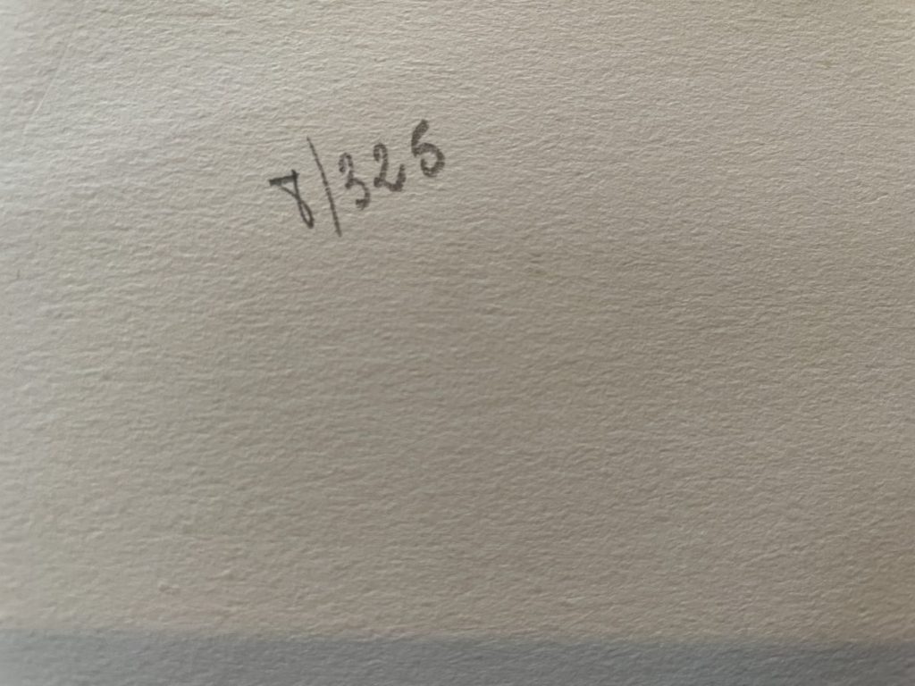A close-up view of a numbered marking on a textured paper surface, showing '7/325'.