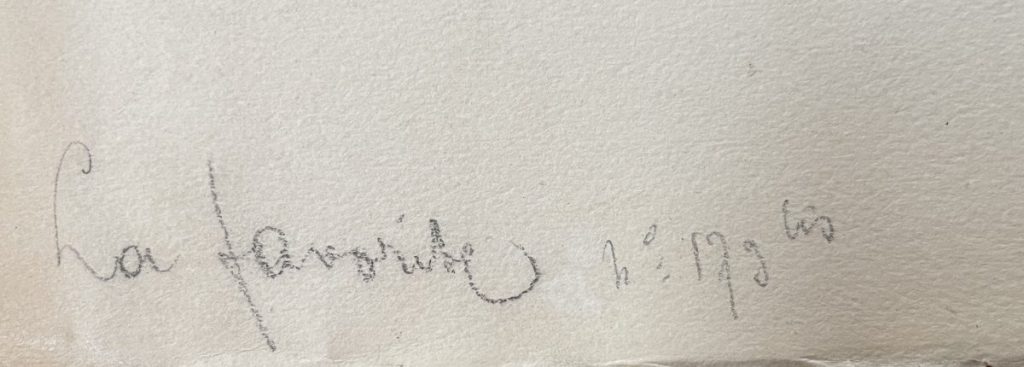 Signature on a piece of artwork dated 1993, written in pencil.