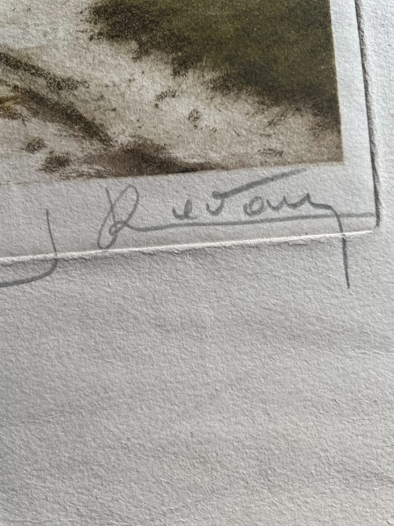 Signature of an artist located at the bottom corner of a piece of artwork.