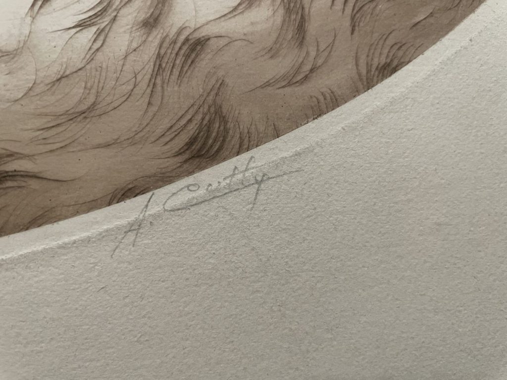 Close-up of an artist's signature on a textured paper surface with fine lines.