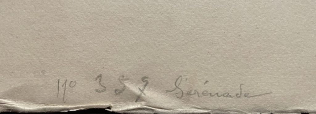 A close-up of a handwritten note featuring the word 'Sirenade' and some numbers.