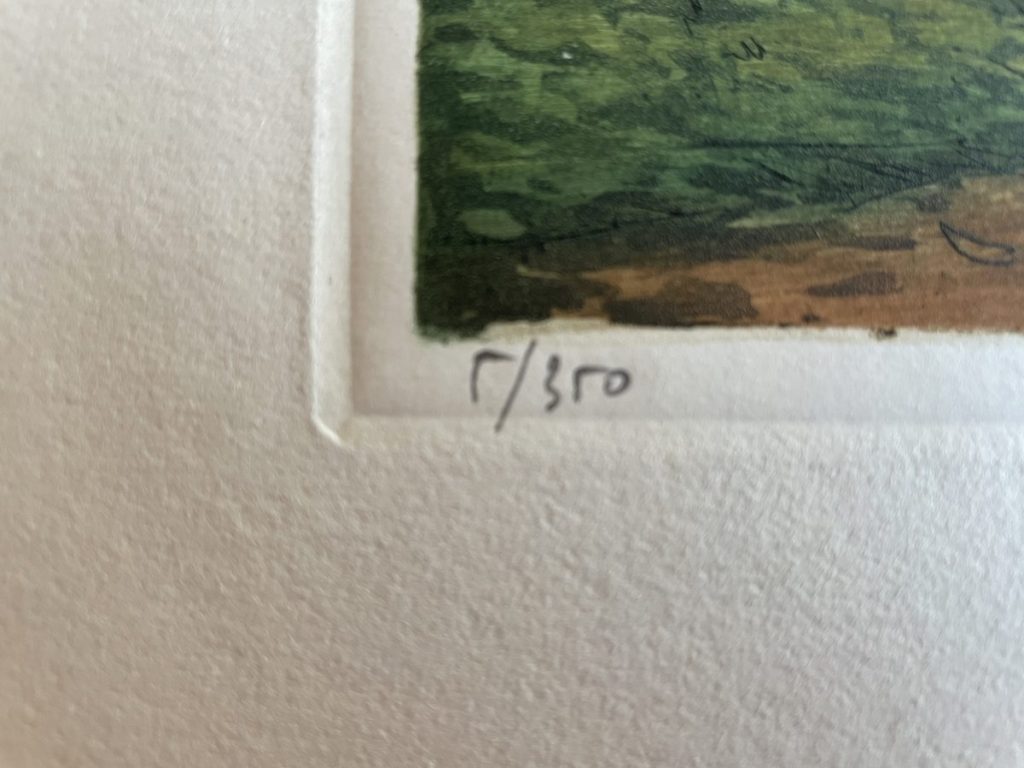 Close-up of a limited edition print showing the numbering '7/30' on the bottom corner.