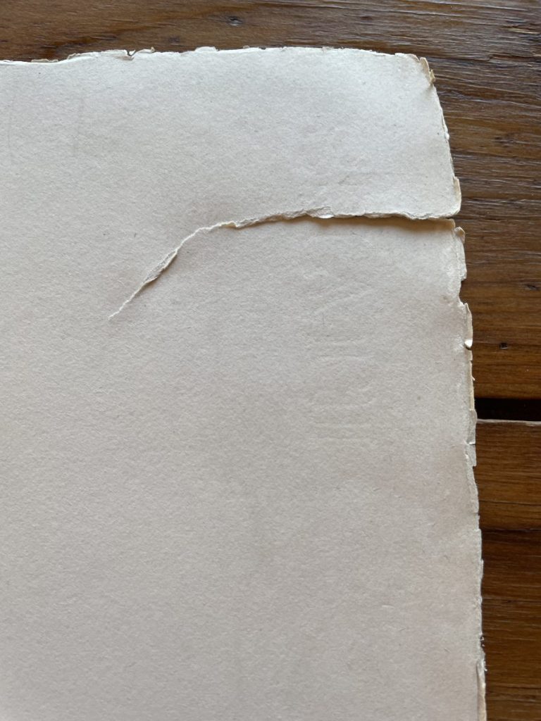 Close-up of a torn edge of a piece of paper with a textured surface.